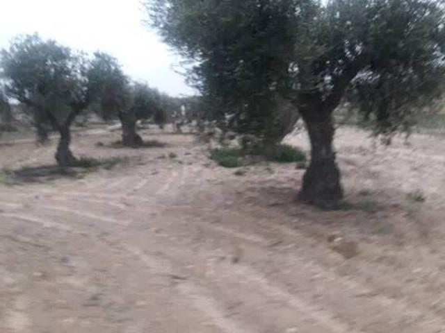 Terreno en venta en Kiem, Lucillos