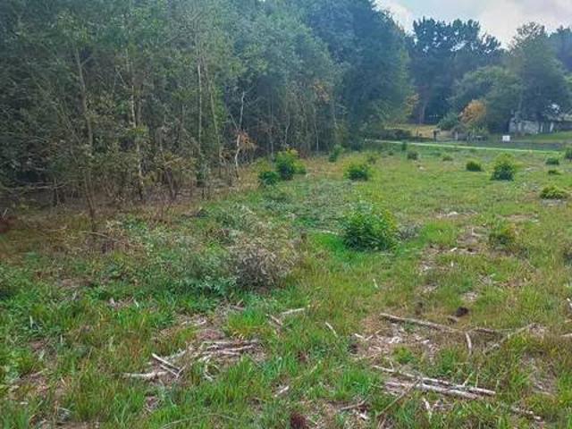 Terreno en venta en Lugo, Galicia