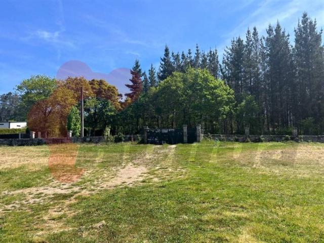 Terreno en venta en Lugo, Galicia