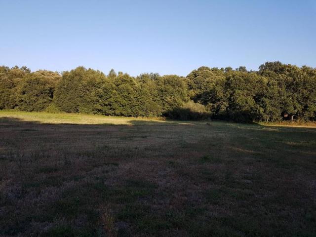 Terreno en venta en Lugo, Galicia