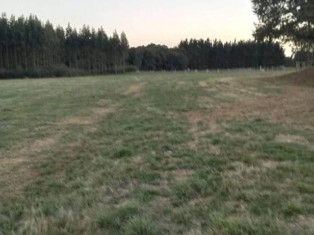 Terreno en venta en Lugo, Galicia