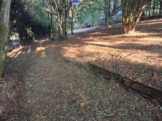 Terreno en venta en Lugo