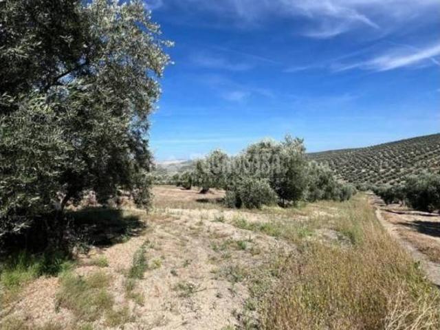Terreno en venta en Lupión, Andalucía