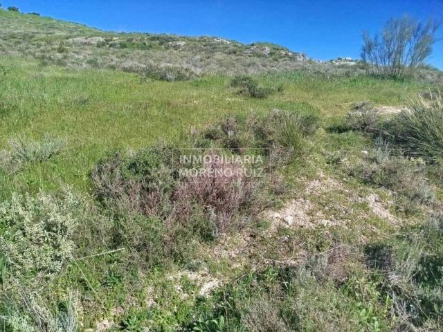 Terreno en venta en Luque, Andalucía