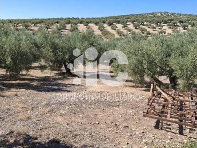 Terreno en venta en Luque, Córdoba