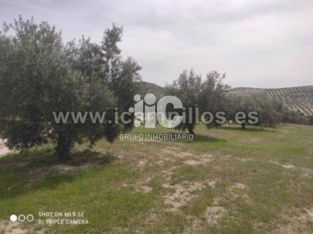 Terreno en venta en Luque, Córdoba