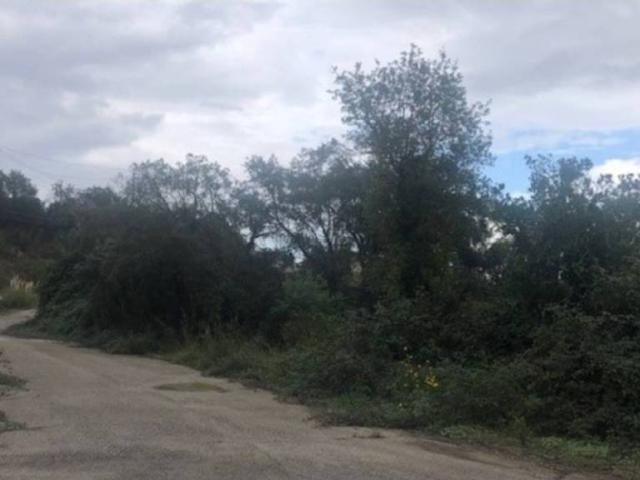 Terreno en venta en la Selva, Catalunya
