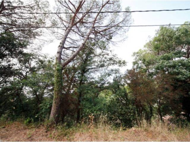 Terreno en venta en la Selva, Catalunya