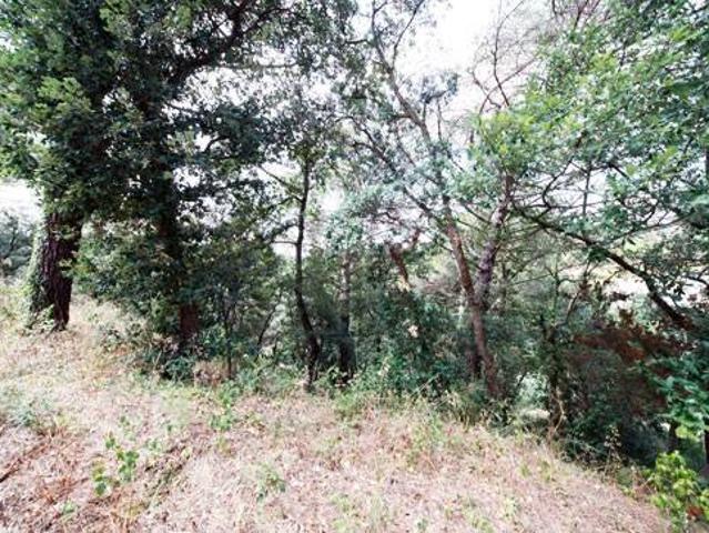 Terreno en venta en la Selva, Catalunya
