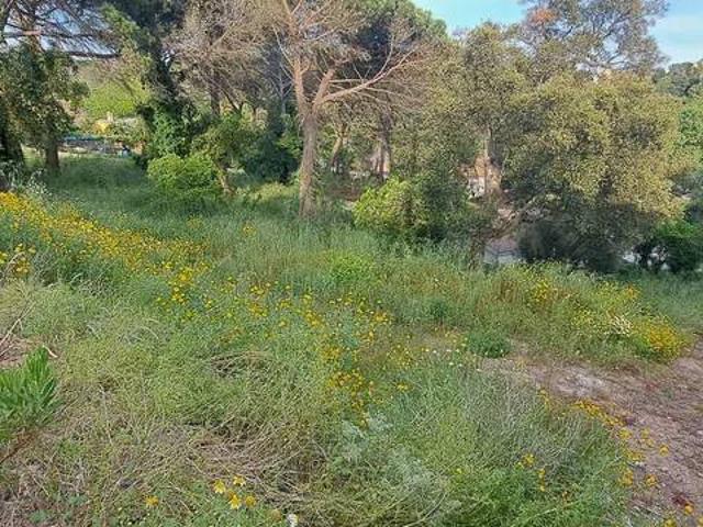 Terreno en venta en la Selva, Catalunya