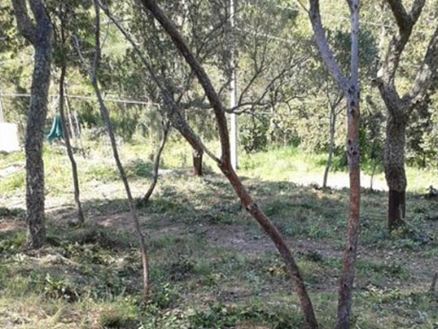 Terreno en venta en la Selva, Catalunya