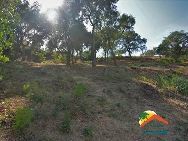 Terreno en venta en la Selva, Catalunya