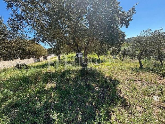 Terreno en venta en la Selva, Catalunya