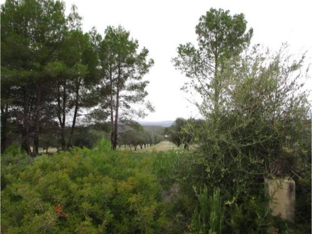 Terreno en venta en La Hoya de Buñol, Valencia