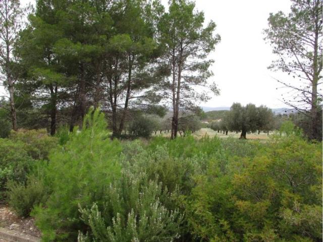 Terreno en venta en La Hoya de Buñol, Valencia