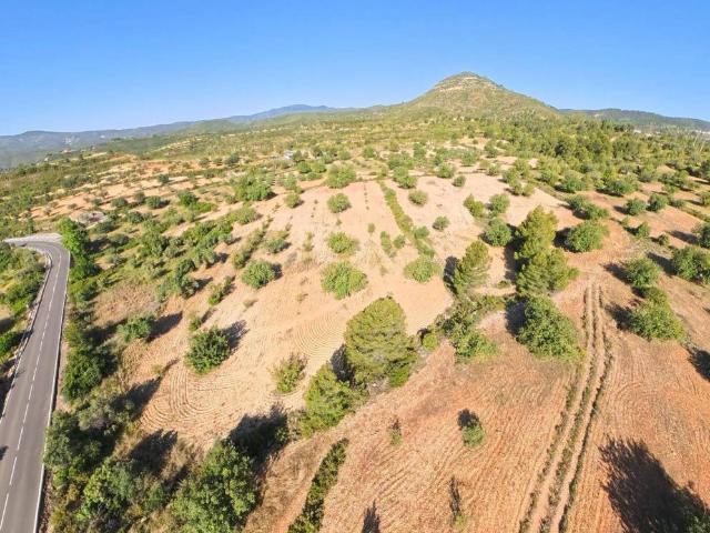 Terreno en venta en La Hoya de Buñol, Valencia