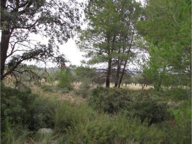 Terreno en venta en La Hoya de Buñol, Valencia