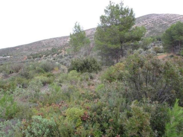 Terreno en venta en La Hoya de Buñol, Valencia