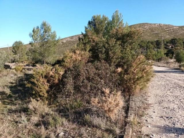 Terreno en venta en La Hoya de Buñol, Valencia
