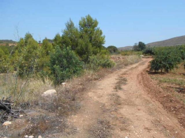 Terreno en venta en La Hoya de Buñol, Valencia