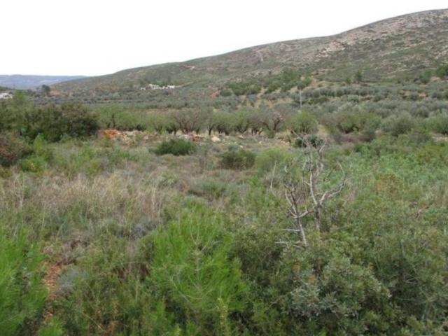 Terreno en venta en La Hoya de Buñol, Valencia