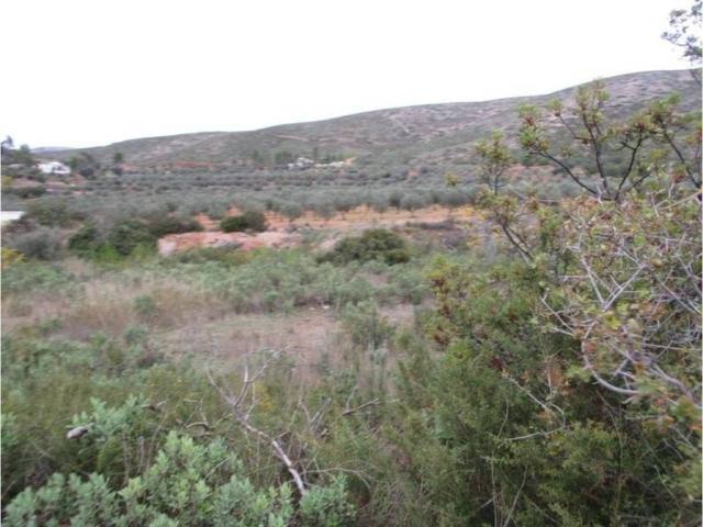 Terreno en venta en La Hoya de Buñol, Valencia
