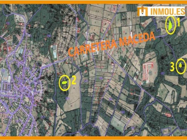 Terreno en venta en Allariz-Maceda, Galicia