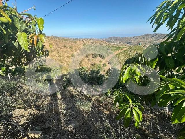Terreno en venta en La Axarquía, Andalucía