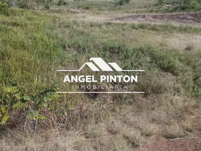 Terreno en venta en Bolívar