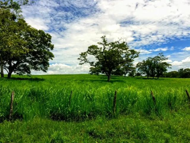 Terreno en venta en Emiliano Zapata, Tabasco