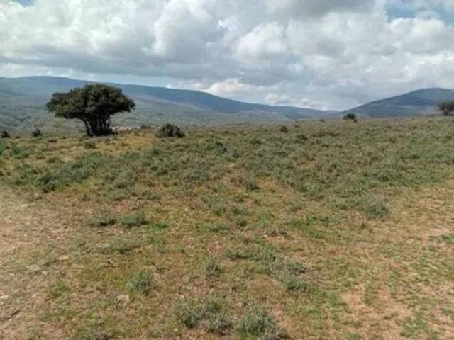 Terreno en venta en Madarcos, Madrid