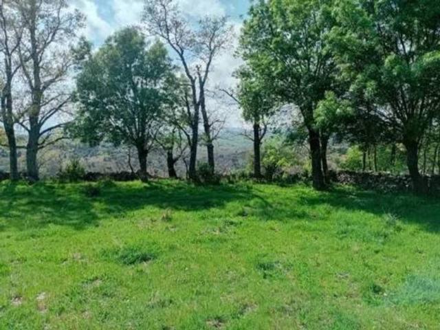Terreno en venta en Madarcos, Madrid