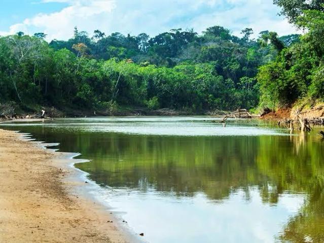 Terreno venta en Madre De Dios