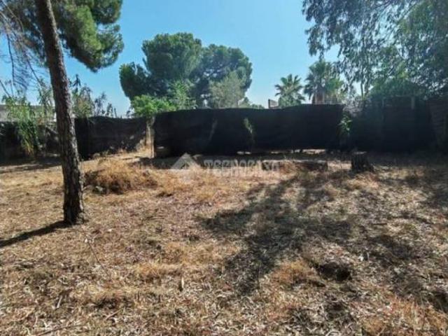 Casa Rural en venta en Marchena, Andalucía