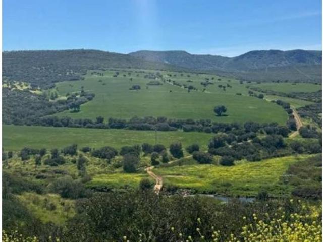 Terreno en venta en Madrid