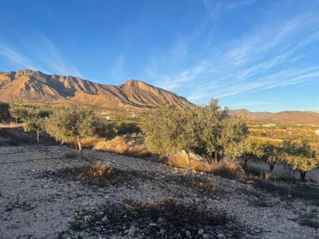 Terreno en venta en Oriental, Murcia