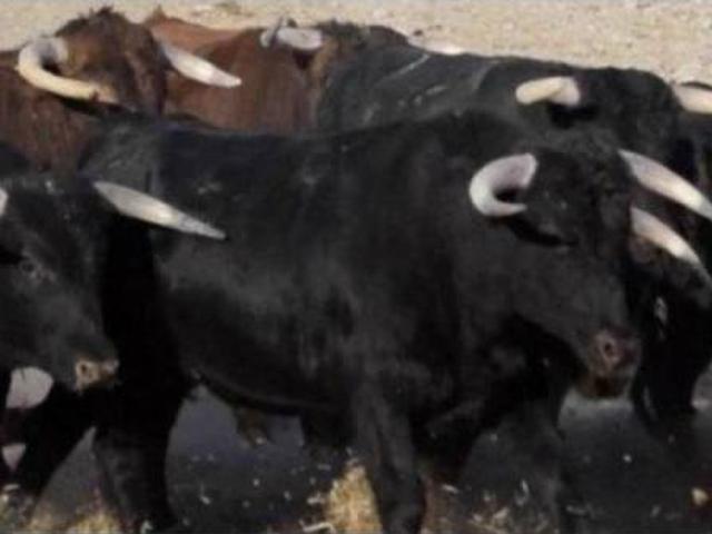 Terreno en venta en Madrid