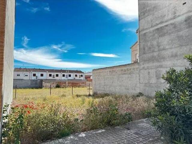 Terreno en venta en Madridejos, Castilla-La Mancha