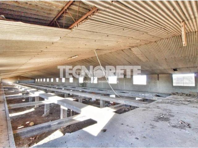 Terreno en venta en Madridejos, Castilla-La Mancha