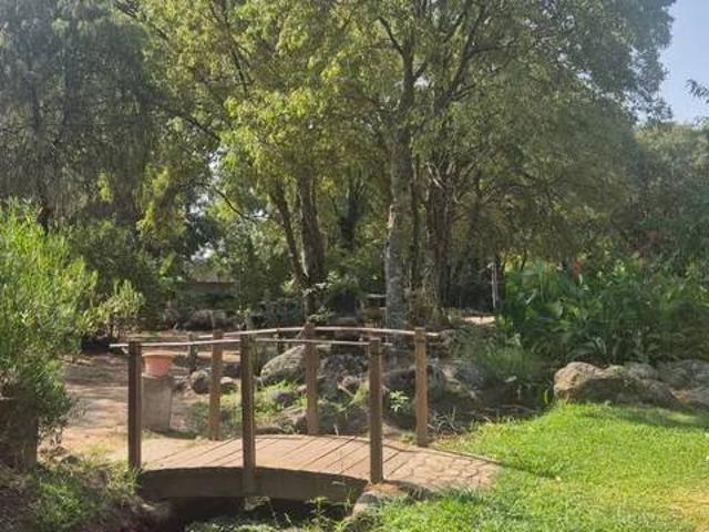 Terreno en venta en Madrigal De La Vera, Extremadura