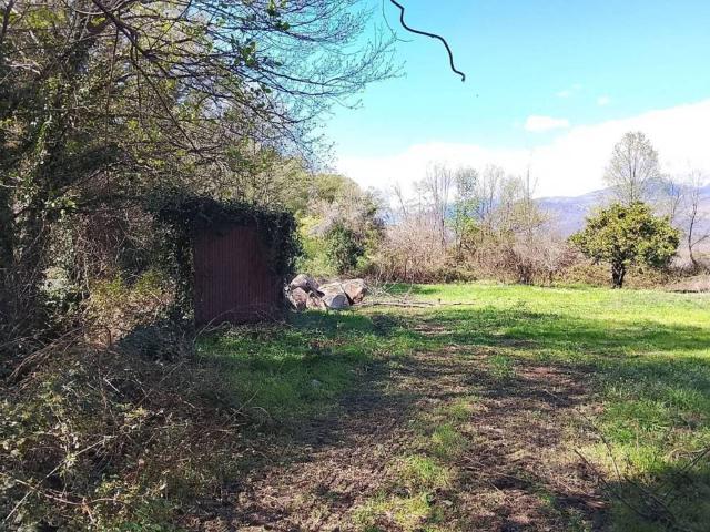 Terreno en venta en Madrigal De La Vera, Extremadura