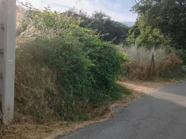 Terreno en venta en Madrigal De La Vera, Extremadura