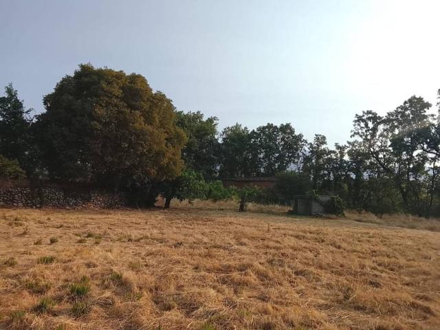 Terreno en venta en Madrigal De La Vera, Extremadura