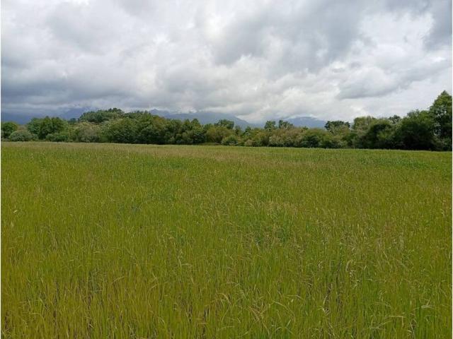 Terreno en venta en Madrigal De La Vera, Extremadura