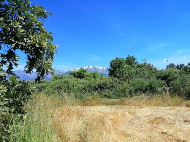 Terreno en venta en Madrigal De La Vera, Extremadura