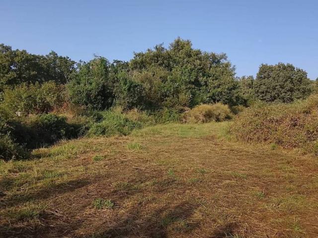 Terreno en venta en Madrigal De La Vera, Extremadura
