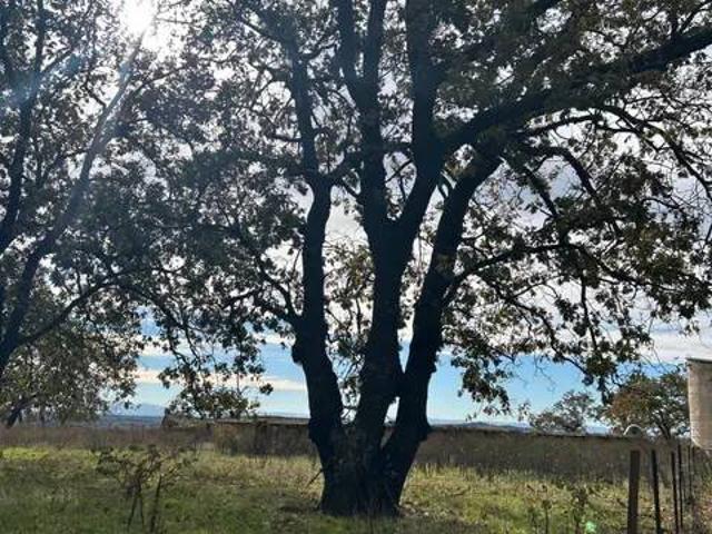 Terreno en venta en Madrigal De La Vera, Extremadura