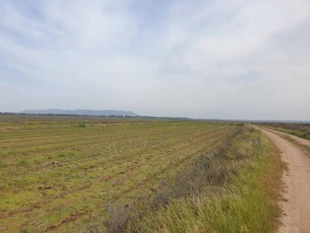 Terreno en venta en Madrigalejo, Extremadura