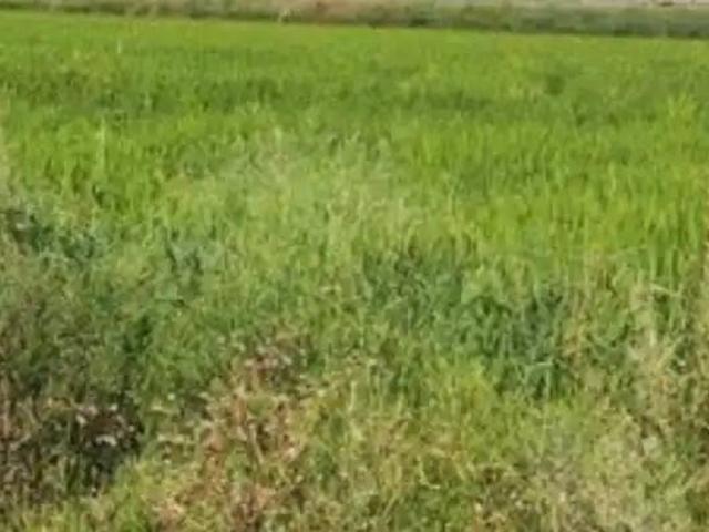 Terreno en venta en Madrigalejo Del Monte, Castilla y León