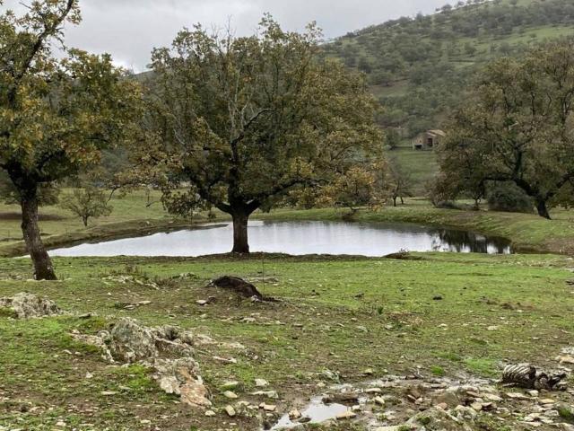 Terreno en venta en Madroñera, Extremadura